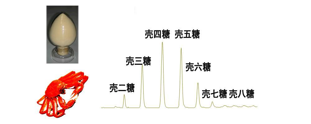 壳寡糖