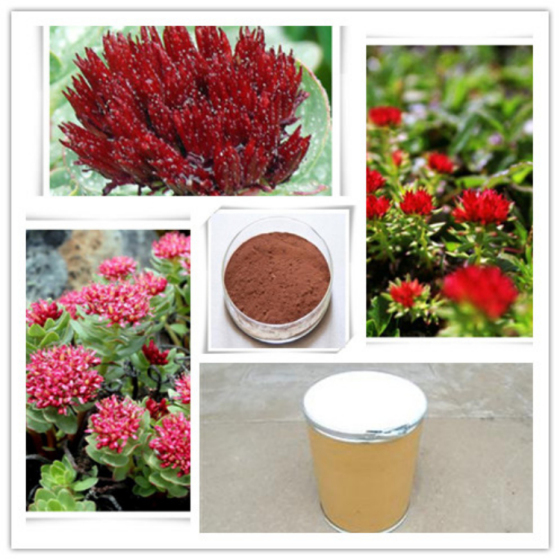 Rhodiola rosea extract