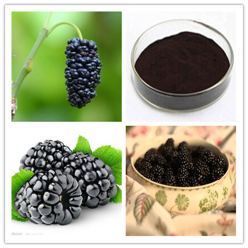 Mulberry Fruit Extract