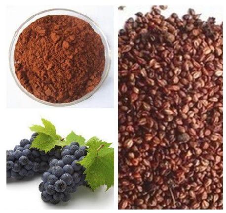 Grape seed extract