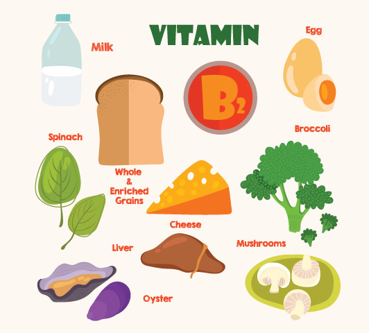 Vitamin B2(Riboflavin)