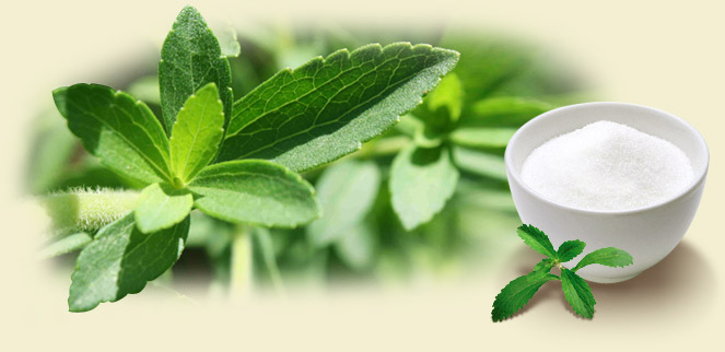 Stevia